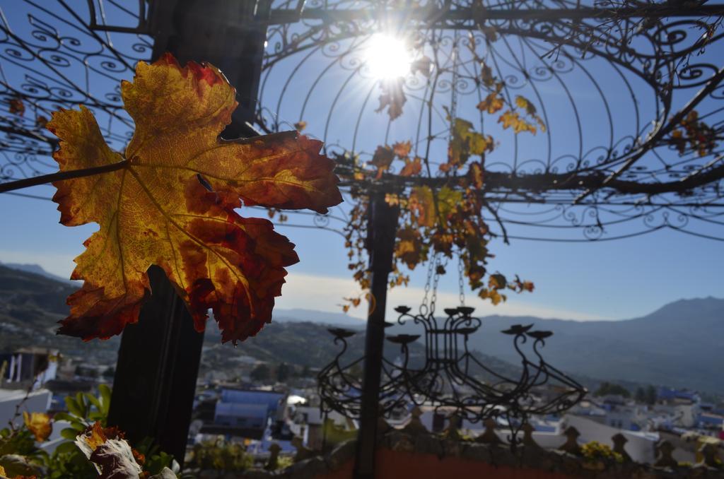Dar Meziana Bed and Breakfast Chefchaouen Exteriör bild